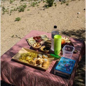kayak_de_travesia_pirineos-17 kayak de travesia en el pirineo pic nic